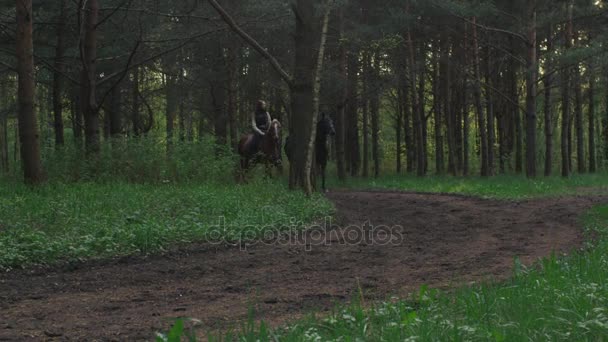Twee jonge meisjes paardrijden paarden in bos — Stockvideo