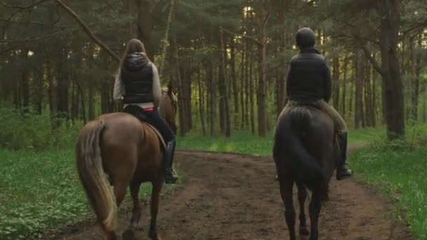 Två unga flickor Rider hästar i skogen. — Stockvideo