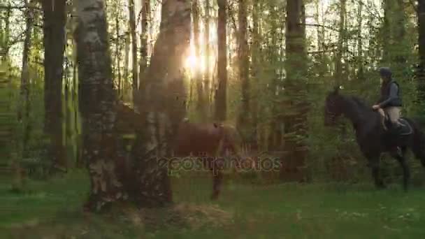 Dos niñas montando a caballo en el bosque . — Vídeos de Stock