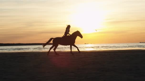 Sylwetka kobiety koniu wzdłuż linii brzegowej plaży. — Wideo stockowe