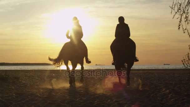 Silhouette de deux jeunes femmes chevauchant des chevaux sur la plage . — Video