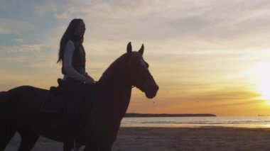Genç binici günbatımı ışık plajda atlı siluet.