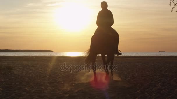 Silhouette eines jungen Reiters zu Pferd am Strand, der sich in Richtung Sonnenuntergang bewegt. zurück. — Stockvideo