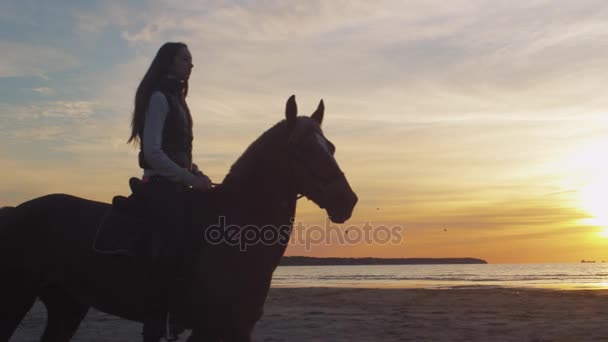 Sylwetka młodego zawodnika na konia na plaży w zachód światło. — Wideo stockowe