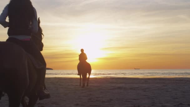 Sziluettjét két fiatal lovasok-lovak naplemente fény strandon. Hátulnézet. — Stock videók