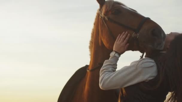 Jong meisje aaien en knuffelen van een paard — Stockvideo