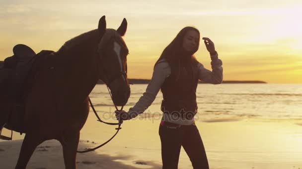 Mladá dívka a její kůň chodit na pláži v Sunset světle. Záběr nohama koně.
