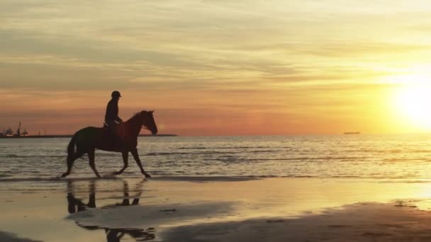 Silhouette du cavalier à cheval à la plage au coucher du soleil. Mouvement lent . — Video
