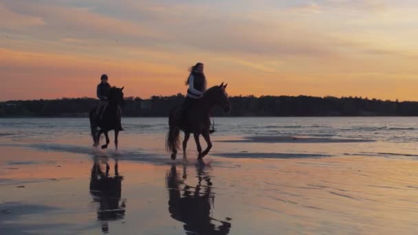 Zwei Reiter auf Pferden am Strand im Sonnenuntergang. — Stockvideo