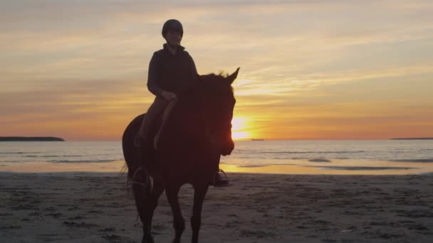 Silhuetten av ryttare på häst på stranden i solnedgången ljus. — Stockvideo