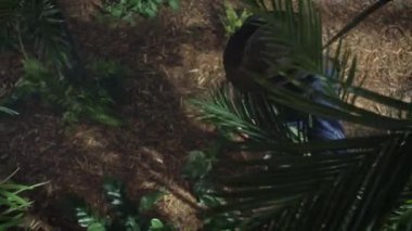 Maceracı orman orman yürüyüş şapkalı