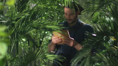 Maceracı şapkalı orman ormanda Tablet kullanma.