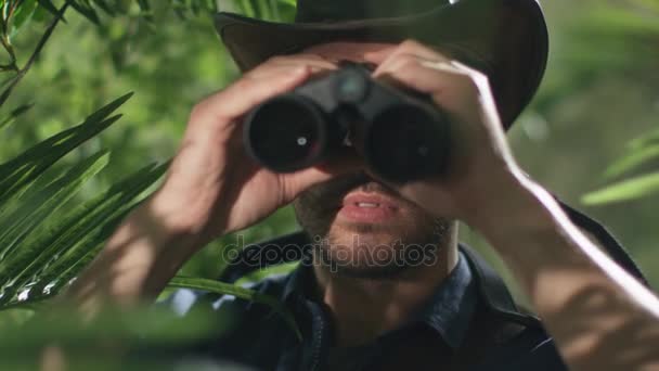 Авантюрист в капелюсі прогулянки по джунглях ліс і дивлячись через бінокль — стокове відео