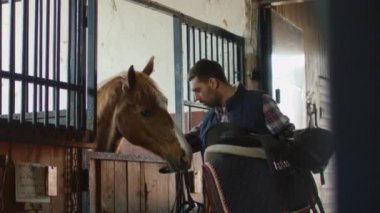 Adam bir at ahırda bir eyer tutarken okşayarak.