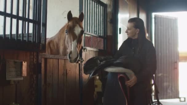 Vrouw loopt in stabiele uitvoering een paard zadel. — Stockvideo