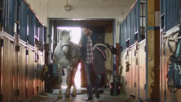 L'uomo sta camminando un cavallo bianco in stalla mentre tiene in mano una sella . — Video Stock