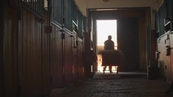 Man is rolling a cart with hay into a stable in order to feed horses. — Stock Video