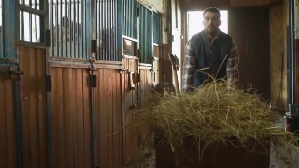 Man is een kar met hooi rollen in een stabiele om te voeden van paarden. — Stockvideo