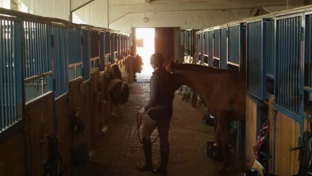 Junges Jockey-Mädchen geht mit Pferd aus dem Stall. — Stockvideo