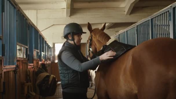 Jonge jockey meisje bereidt een paard voor een rit in stal. — Stockvideo