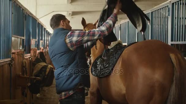 Stajenny jest przygotowanie konia do jazdy w stajni. — Wideo stockowe