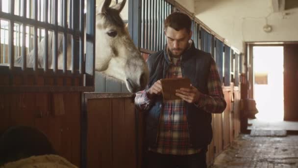 Mann benutzt Tablet-Computer neben Pferd im Stall. — Stockvideo
