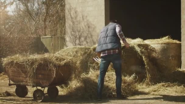 Homem está limpando um quintal de fazenda de feno com uma forquilha em um dia ensolarado . — Vídeo de Stock