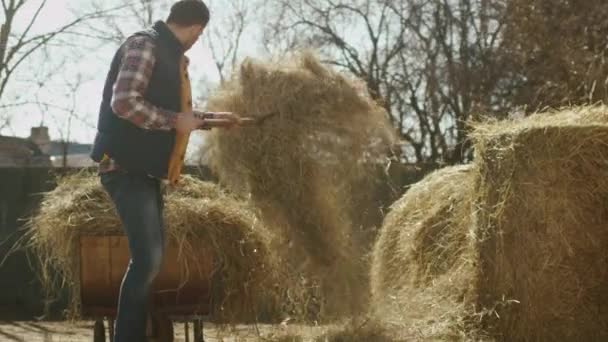 Mannen rengöring en gård gård från hay med en högaffel på en solig dag. — Stockvideo