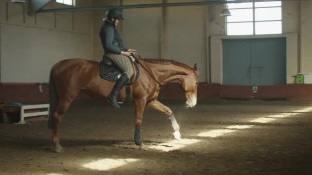 Giovane ragazza fantino sta cavalcando un cavallo marrone . — Video Stock