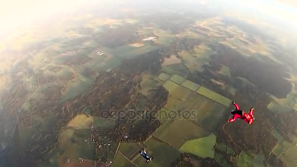 Equipe de Skydivers saltar do avião — Vídeo de Stock