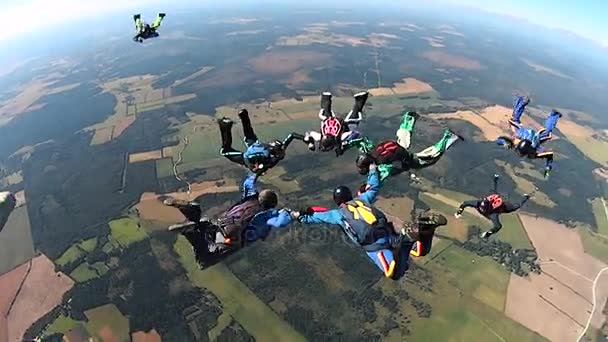 Team van Skydiviers springen uit het vliegtuig — Stockvideo