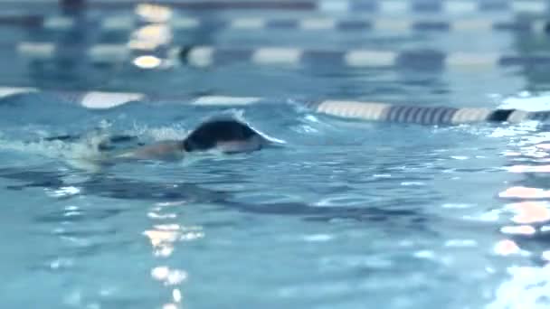 Close-up shot van Professional zwemmer uitvoeren vlinderslag tijdens het trainen in zwembad — Stockvideo