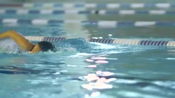 Close-up shot van professionele vrouwelijke zwemmer uitvoeren Front kruipen tijdens het trainen in zwembad — Stockvideo