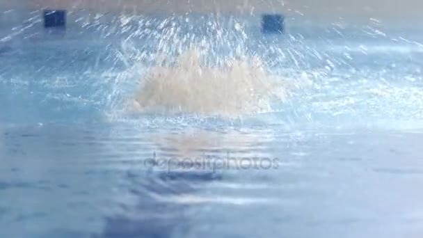 Prise de vue de la face avant du nageur professionnel effectuant un AVC papillon pendant l'entraînement en piscine — Video
