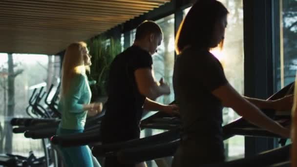 Jóvenes hombres y mujeres atléticos haciendo ejercicio y corriendo en la cinta de correr en el gimnasio deportivo . — Vídeos de Stock