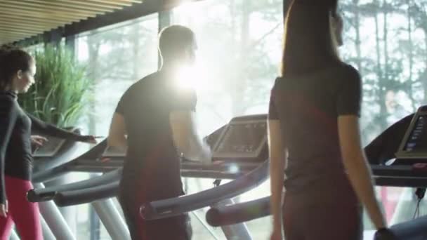 Fiatal sportos férfiak és nők, gyakorlása, és a futás a futópad sport tornaterem. — Stock videók