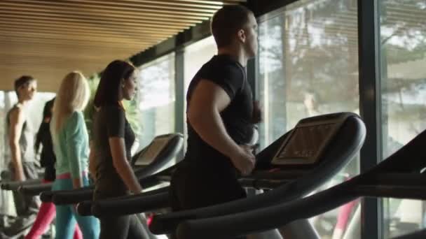 Jóvenes hombres y mujeres atléticos haciendo ejercicio y corriendo en la cinta de correr en el gimnasio deportivo . — Vídeo de stock