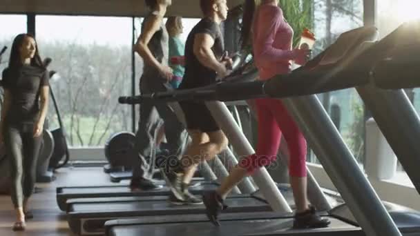 Jóvenes hombres y mujeres atléticos haciendo ejercicio y corriendo en la cinta de correr en el gimnasio deportivo . — Vídeo de stock