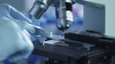 Bir bilim adamı bir laboratuvar mikroskop kurma yakın çekim görüntüleri.