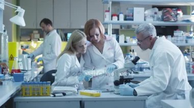 Takım beyaz kat olarak beyaz bilim adamları modern bir laboratuvarda çalışan.