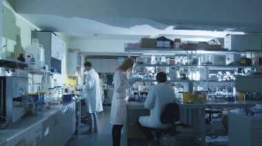 Takım beyaz kat olarak beyaz bilim adamları modern bir laboratuvarda çalışan.