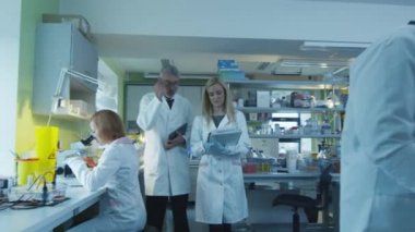 Kıdemli ve kağıtları ve tablet ile kadın bilim adamları yürüyüş ve bir laboratuvarda muhabbet. 