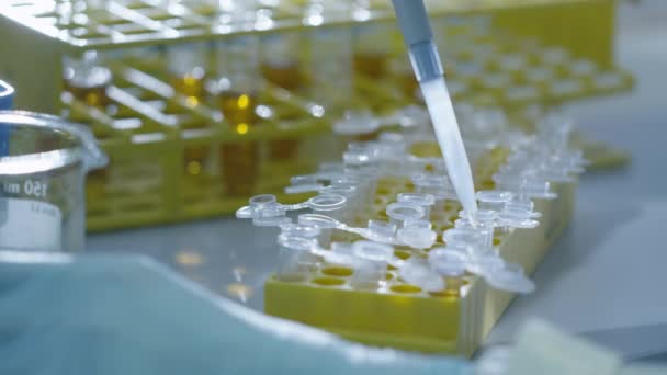 Крупный план учёного, добавляющего жидкость в пробирки с микропипеткой в лаборатории . — стоковое видео
