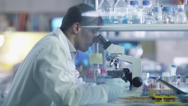 Due scienziati utilizzano un microscopio e una tavoletta mentre lavorano in un laboratorio . — Video Stock