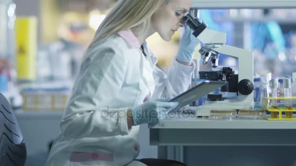 Científica femenina está usando un microscopio y una tableta mientras trabaja en un laboratorio . — Vídeo de stock