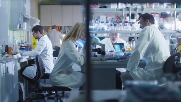 Kaukasiska forskarlag i vita rockar arbetar i moderna laboratorier. — Stockvideo