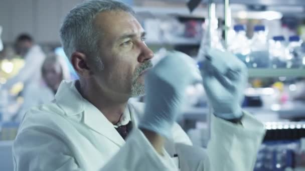 Retrato de um cientista sênior olhando para uma exposição em um laboratório . — Vídeo de Stock