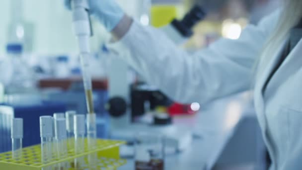 Científica femenina está usando una micro pipeta mientras trabaja en un laboratorio con colegas . — Vídeos de Stock