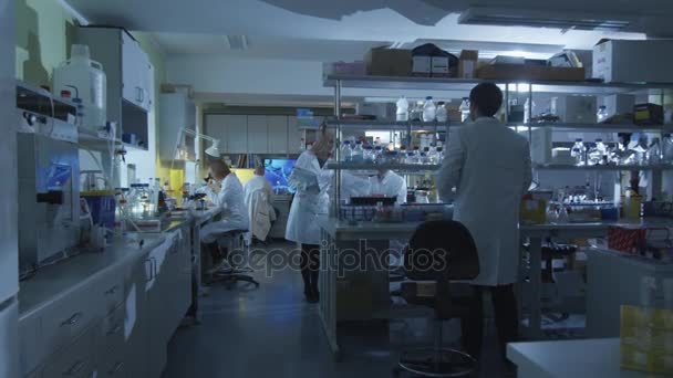 Kaukasische wetenschappers in witte jassen zijn groep in een moderne laboratorium. — Stockvideo