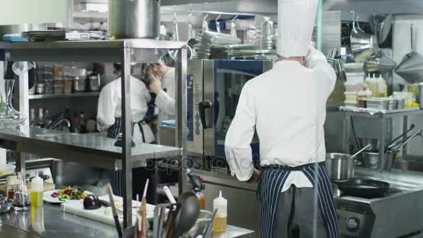 Three professional chefs in a commercial kitchen in a restaurant or hotel preparing food. — Stock Video